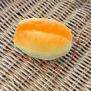 Happy Bear Bread Squishy – Kawaii Slow-Rise Squeeze Toy