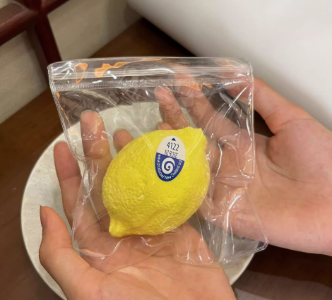 Lemon Squishy Toy